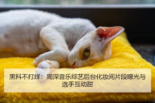 黑料不打烊：周深音乐综艺后台化妆间片段曝光与选手互动甜